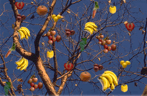 Aunt Meta's Tree
